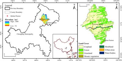 Effects of Heterogeneous Environment After Deforestation on Plant Phenotypic Plasticity of Three Shrubs Based on Leaf Traits and Biomass Allocation